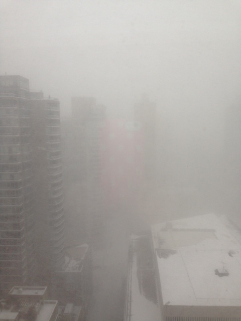 Blizzard scene, 2016